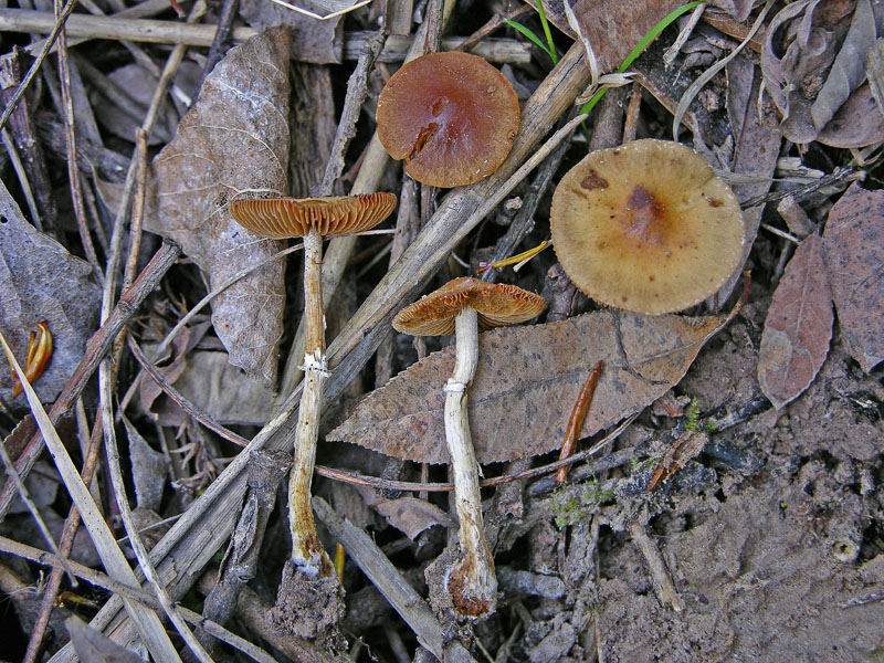 Ritrovamenti sabato 14 aprile.